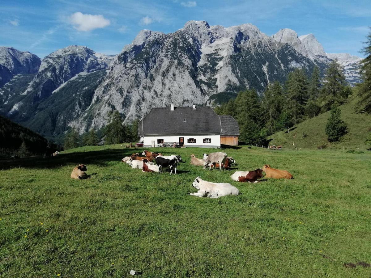 Gausrab Villa Hinterstoder Kültér fotó